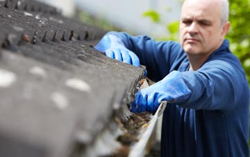 cleaning and inspecting Liquo Or Bowhousebog roofs