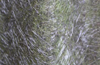 Liquo Or Bowhousebog fibreglass roof work